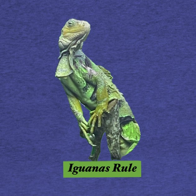 Iguanas Rule by gldomenech